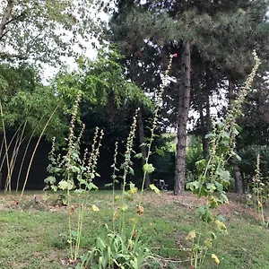 Appartamento Tra S.orsola E Fiera, Bologna